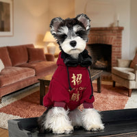 Dog Hoodie Small with Text Graphic, Thickened Polyester Fleece Lined Warm Sweater, Winter Warm Festive Clothing and New Year Outfit for Pets