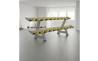 Two-Tier 10-Pair Dumbbell Rack Saddled Cradles Double-Layer Dumbbell Rack Angled Legs Fitness Storage Metal