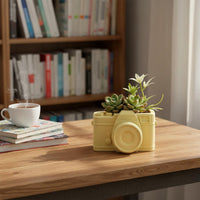 Succulent Planter Polished Finish Resin Planter Molded