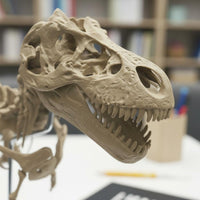 Dinosaur Skeleton Model Large Size Tyrannosaurus Skeleton Model Kit Educational Gift Dinosaur Assembly Toy for Kids, Desk Decoration, Room Decor
