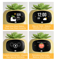 IVY Plant Pet Robot Smart Flower Pot Desktop AI Toy