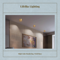 Brass Adjustable LED Spotlight