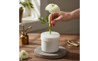 Silicone Flower Grid Insert Star Shaped Openings Domed Flower Grid Translucent