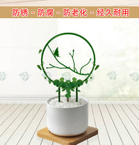 山乌龟绿植圆形花架铁线莲爬藤架绿萝攀爬架子桌面植物花卉造型架
