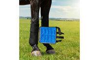 Horse Leg Wrap with Ice Pack Cooling Horse Ice Pack Wrap Therapeutic Cold Compress Wrap for Horses, Training Recovery, Stable Management, Transport