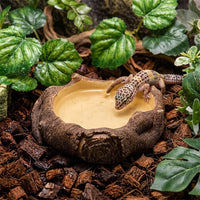 Wood Grain Water Bowl Tortoise Water Bowl, Snake Accessories for Vivarium, Spill Resistant Water Dish for Geckos, Reptiles and Tree Frogs, Resin