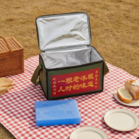 Vintage Ice Pop Cooler Box Insulated Large Capacity for Ice Cream and Frozen Treats