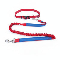 Elastic Leash and Collar Combo Flexible Adjustable Collar Leash Set Metal D-Loop Pet Gear Snap Hook for Walking, Control