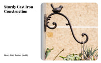 Cast Metal Avian Hook Multi Functional Cast Iron Wall Simple Installation to Install Decorative Plant Hanger for Outdoor