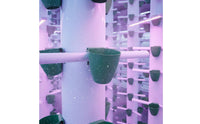 Strawberry Propagation Cup Breathable Strawberry Runner Rooting Cup Good Drainage Hanging Rooting Pot for Beginners, Greenhouse, Balcony