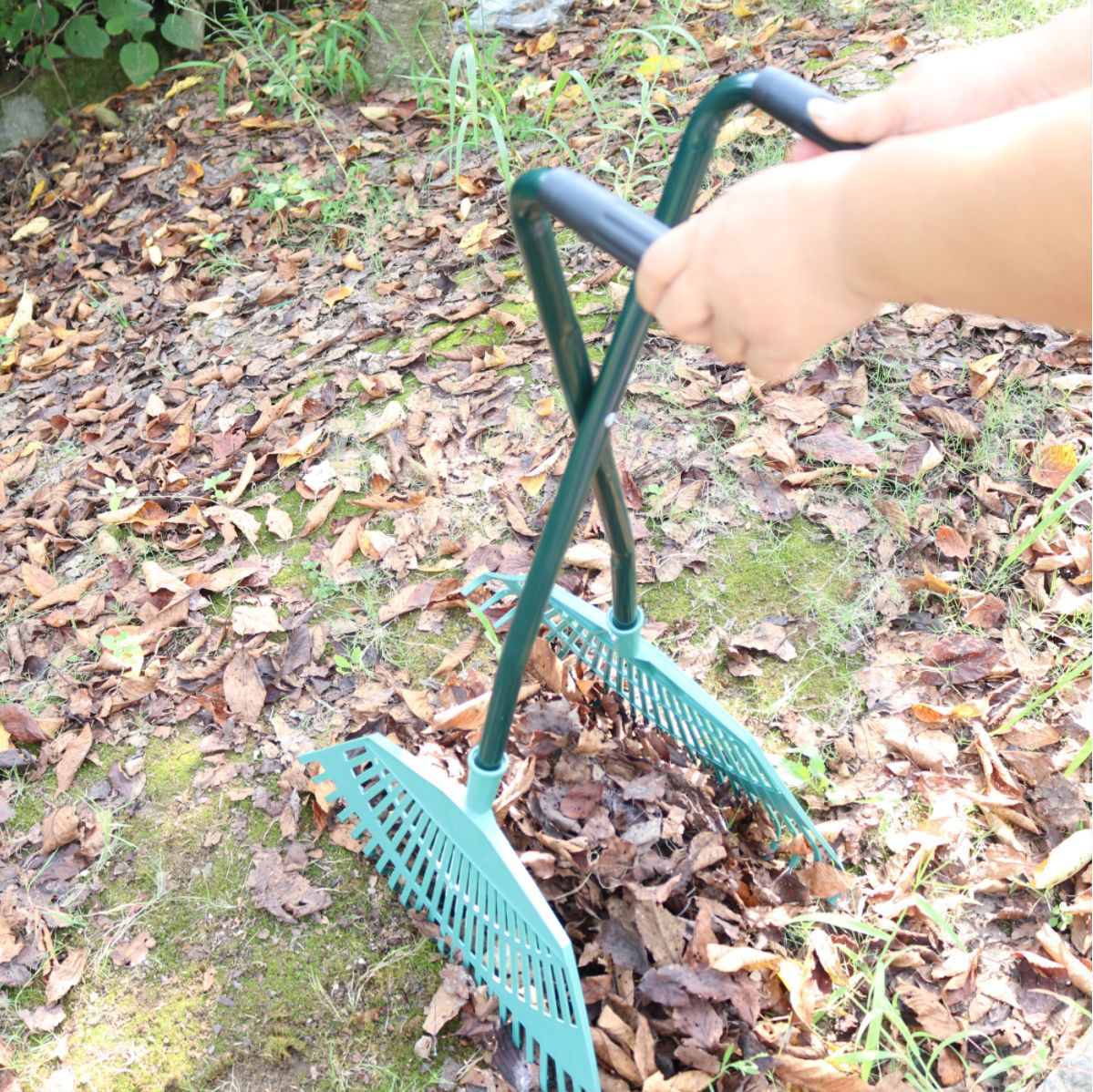 Leaf Rake