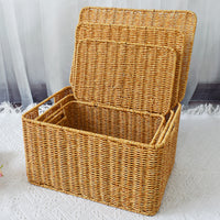 Plastic Rattan-Style Storage Box for Organizing Clothes and Accessories