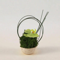 Artificial Orchid in Planter Sculptural Faux Plant with Stone Look Pot Compact