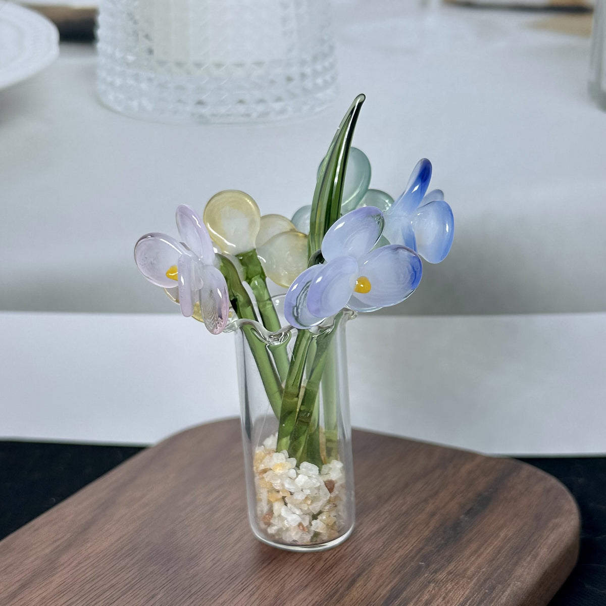 Phalaenopsis SET