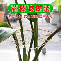 Plant Support Stakes for Monstera, Bird of Paradise, and Other Plants