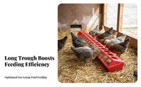 Multi-Hole Avian Trough Easy to Clean Stretched Avian Feeder Reduces Food Waste Chicken Feeding Tray for Pigeons, Backyard Coop, Aviary