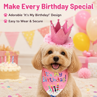Dog Birthday Hat for Photo Shoot, Pet Costume Two-Piece Set, Letter Print Dog Birthday Bandana for Party, Fashionable Design