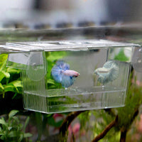 Acrylic Aquarium Fish Tank Breeding Box Isolation Box Multi-purpose Fry Breeder Incubator