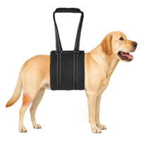 Pet Dog Walking Assistance Belt for Elderly or Injured Dogs