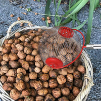 Chestnut Pickup Tool Long-Lasting Steel Basket Walnut Collector Tool for Orchard