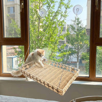 Window Cat Perch and Cat Hammock, Handwoven Rattan Cat Bed with Strong Suction Cups, Folding Storage Suction Cup Cat Bed for Indoor Sunbathing