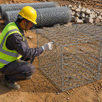 Galvanized PVC Coated Gabion Basket, Steel Gabion Cages for Retaining Walls, High Resistance for Flood Control, Riverbank Protection