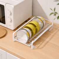 pull-out dish rack