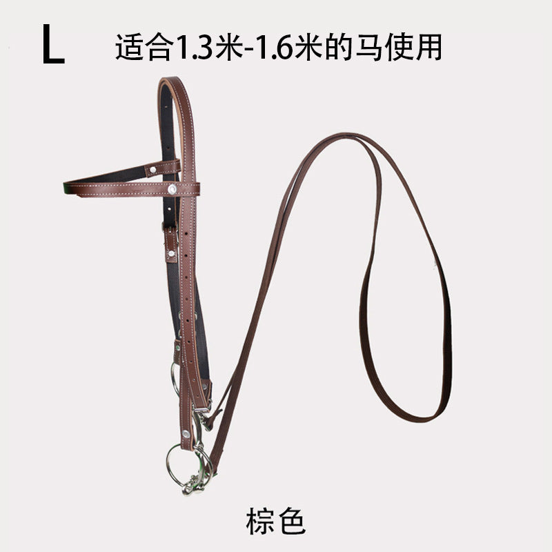 Large / Normal Brown