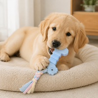 Multicolor Dog Chew Toy, Long Thermoplastic Rubber Puppy Bone, Cleans Teeth, Tough Puppy Toys for Teething