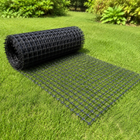Plastic Mesh, Bird Netting, 2m×50m, Black, 3.5cm Mesh, Chicken Farming, Gardening Fence Net