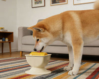 亚马逊猫狗舔食器可拆卸防滑底座带摇摆功能的舔食碗缓解宠物焦虑