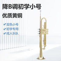 Bb Trumpet pyxh001 Student Beginner Professional Brass Instrument