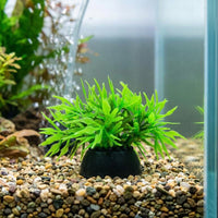 Artificial Aquatic Plants Aquarium Ornament 4cm Plastic No Maintenance Needed Sinks For Small Aquariums