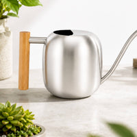 Stainless Steel Watering Can Modern Watering Can with Wooden Handle Silver Vessel for Plant Lovers, Gardeners, Indoor Plants, Potted Flowers, Office