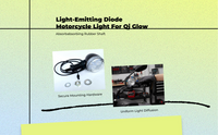 QJ 300/350 yellow turn signal