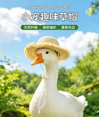 跨境柯尔鸭草帽口水巾帽子鸭子围脖围巾装饰鹅田园风太阳帽蕾丝