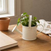 Metal Watering Can Glossy Yard Item Perforated