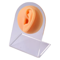 Silicone Facial Features Model for Ear Cleaning and Piercing Practice