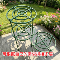 花支架月季花架植物盆室内花卉支撑杆园艺绿萝支架爬藤架客厅绿植