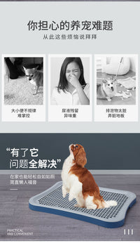 Cat Diary Plastic Dog Toilet with Wall for Small, Medium, Large Dogs
