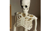 Light-up Halloween Mermaid Skeleton Articulated Skeleton with Mermaid Tail Posable Prop Movable for Haunted House, Porch