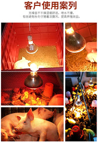 智牧人保温灯猪用小鸡取暖灯泡育雏保温灯养殖场专用红外线畜牧用