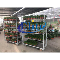 Mobile Detachable Dutch Flower Display Cart for Garden Tools