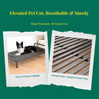 Cooling dog bed with removable cover