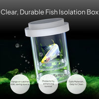 Floating Fish Isolation Box Breeding Hatchery Fry Guard