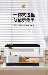 Turtle Tank with Basking Platform and Filter for Small Turtles