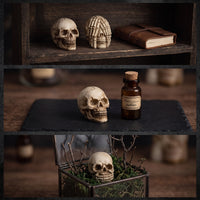 20 Pieces Miniature Skulls Textured Skull Ornaments Resin Skulls Tiny Tabletop Ornaments Small for Crafters, Halloween