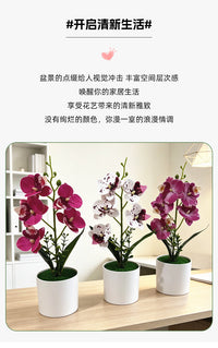 仿真5朵蝴蝶兰盆栽假花仿真花居家办公装饰场景布置摄影绿植道具
