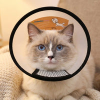 Pet Cone Recovery With Fasteners, Adjustable Neck Cone For Recovery After Surgery, Prevent Biting And Licking For Small Dogs And Young Dogs