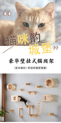 Wooden Wall-Mounted Cat Climbing Shelf with Cat House and Scratching Post